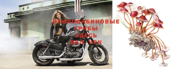 экстази Краснослободск